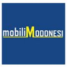 Mobili Modonesi