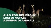 Allo zoo del Bronx luci di Natale a forma di animali