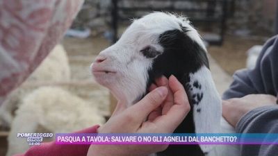 Pasqua a tavola: salvare o no gli agnelli dal banchetto?