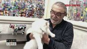 Spoleto, Nino Frassica nei guai per il gatto scomparso