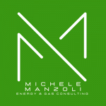 Michele Manzoli - Energy & Gas Consulting