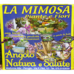 La Mimosa Piante e Fiori - Articoli da Regalo