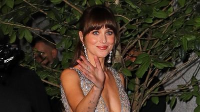 Cinquanta sfumature di grigio: La torbida storia di Dakota Johnson
