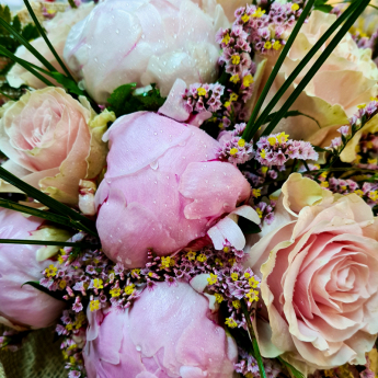 Piante e Fiori Fabbri Viola fiori casalguidi