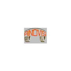 Rinovis Spa logo