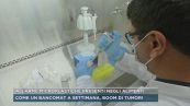 Allarme microplastiche presenti negli alimenti