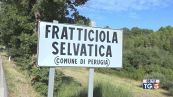 Uccide moglie e figlia, poi si toglie la vita