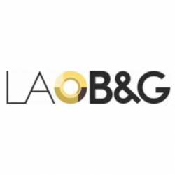 La B&G di Bardini Enrico & C. Srl - Produzione Sfere per Valvole logo