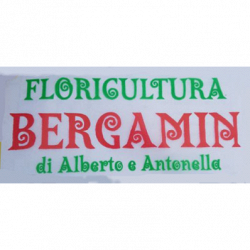 Fioreria Bergamin logo
