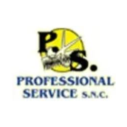 Professional Service logo