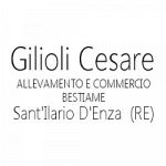 Commercio e Allevamento Cesare Gilioli