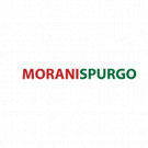 Morani Spurgo