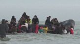 Migranti, continua il crollo degli sbarchi, l'impennata di rimpatri