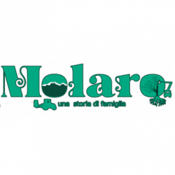 Molaro S.A.S logo