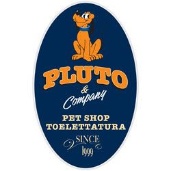 Pluto e Company logo