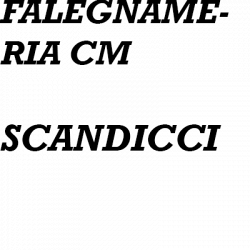 Falegnameria CM Sas logo