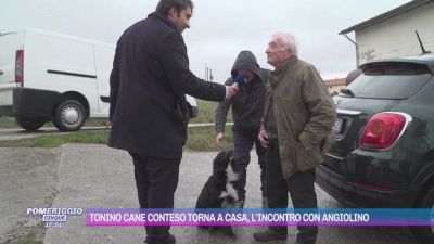 Tonino cane conteso torna a casa, l'incontro con Angiolino