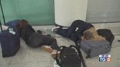Slitta alle 15 di oggi riapertura Catania