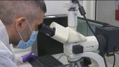 Dna maschile ignoto trovato nella bocca di Chiara Poggi