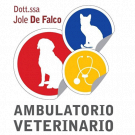 Ambulatorio Veterinario De Falco