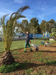 Giardinaggio | manutenzione del verde in provincia di Brindisi Sole Verde