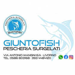 Giuntofish logo