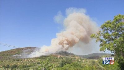 Caldo torrido, incendi e forti precipitazioni