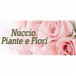 Nuccio Piante e Fiori di Natale Scaccio logo