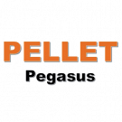 Pellet Pegasus - No legna