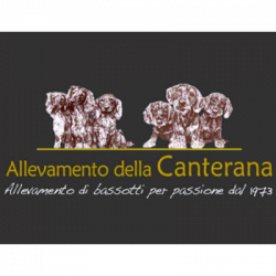 Allevamento Bassotti della Canterana logo