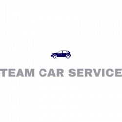 Team Car Service logo