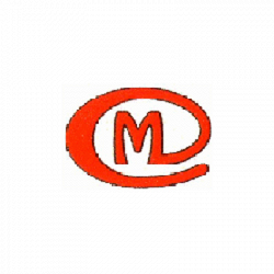 Falegnameria C.F. Cecanecchia logo