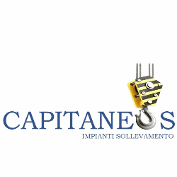 Capitaneo Service logo