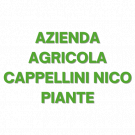 Azienda Agricola Cappellini Nico Piante