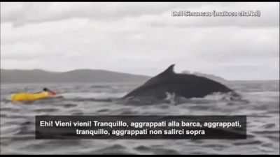 La balena lo inghiotte e poi lo sputa con tutto il kayak