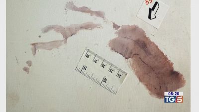 Guerra di perizie per il delitto di Garlasco