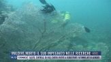 Breaking News delle 14.00 | Maldive, morto il sub impegnato nelle ricerche