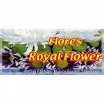 Flores e Royal Flower