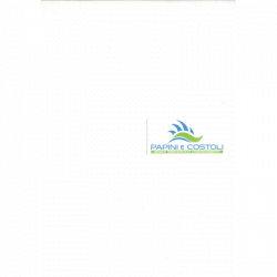 Papini e Costoli - Impianti Idraulici logo