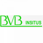 B.V.B. INSITUS