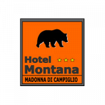 Hotel Montana ***