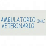 Ambulatorio Veterinario Cimabue