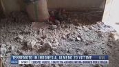 Breaking News delle 9.00 | Terremoto in Indonesia, almeno 20 vittime