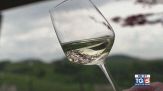 Gusto diVino: Valdobbiadene Prosecco Superiore DOCG