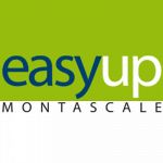 Easyup Montascale