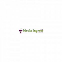 Meola Ingross Viticoltura Enologia logo