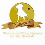 Allevamento Labrador e Golden di Casa Sapienza - Pensione per cani