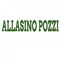 Allasino Pozzi logo