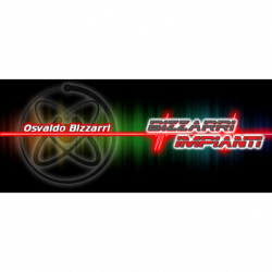 Bizzarri Impianti di Allarme logo