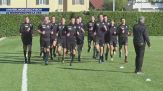 Arbitri, non solo fischi